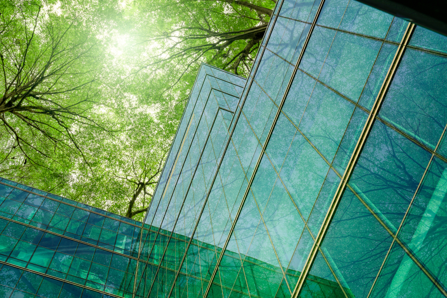 Corporate building and trees
